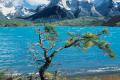 Chile's Patagonia Region